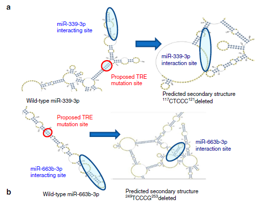 Nature Communications 2017